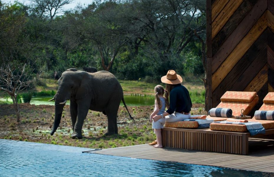 Amboseli Serena